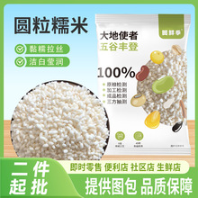 东北糯米500g江米圆糯米粽子米新米无碎粒粗粮五谷杂粮批发