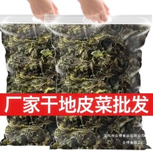 地皮菜干甘肃野生免洗地软地衣地达菜地野菜免洗地耳新鲜干货