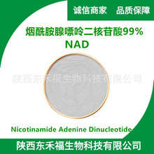 烟酰胺腺嘌呤二核苷酸99%NAD/ NAD+氧化型辅酶Ⅰ NADH 还原型100g