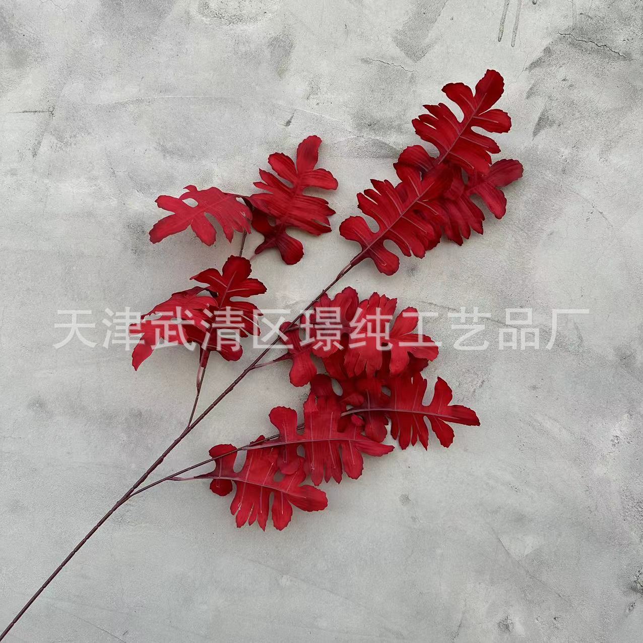 레드