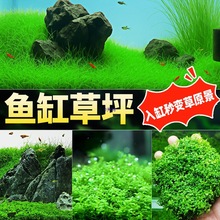 ˮ���~���쾰ſ���ذ�����ֲ��Ī˹����ˮ�|�B�~䁵ב���ˮ��