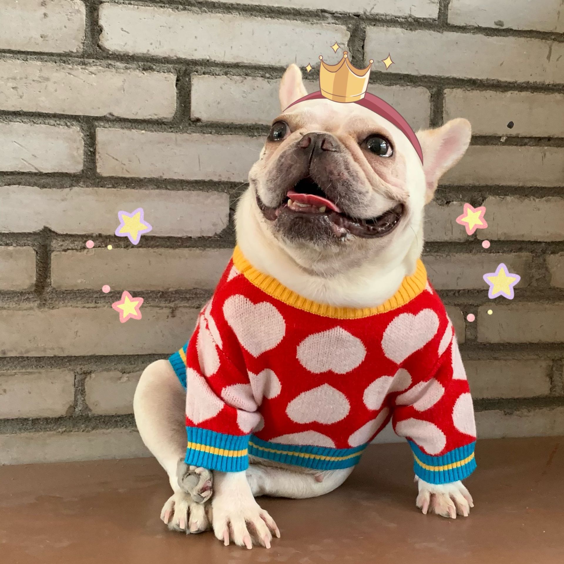 Pet Hoodie Image 7