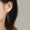 Earrings, long asymmetrical zirconium with tassels, internet celebrity, 2024 years