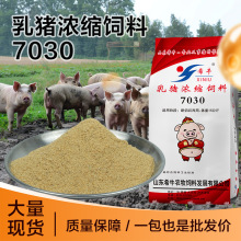 乳猪浓缩饲料7030大容量20KG袋装高性价比乳猪前期保育猪饲料批发