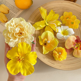 ���ɷՇ��к����m�^���l�AŮɭϵ��߅����A�����A�Ӱl������l�