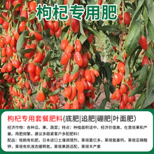 轌÷ЙCͺϷʵ׷׷΢Ԫعw~ϠIB