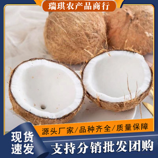 ������Ҭ���Ĳ��������rҬ��ëҬեҬ֭Ҭ���Ҝ�Ҭ��Ҭ��Ҭ���u��