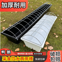 �¿�ι���Zʳ���ˮ�������ϲ��L���θ߉�ţ�����ϼ����Bֳιˮ��