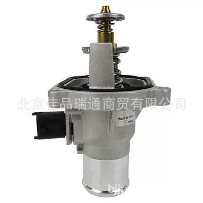 55597008 55578419 – Thermostat