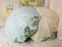 ���l���Â�33963��Ұ�g����z�����pС��y���ۯB�������̫ꖂ�