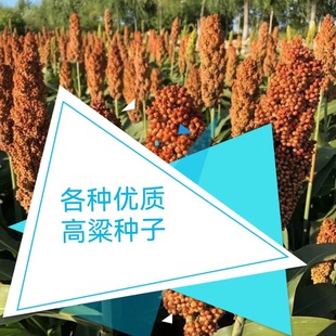 ���l�����N�Ѱ��U�������������ճ�����t����������N���S�a��