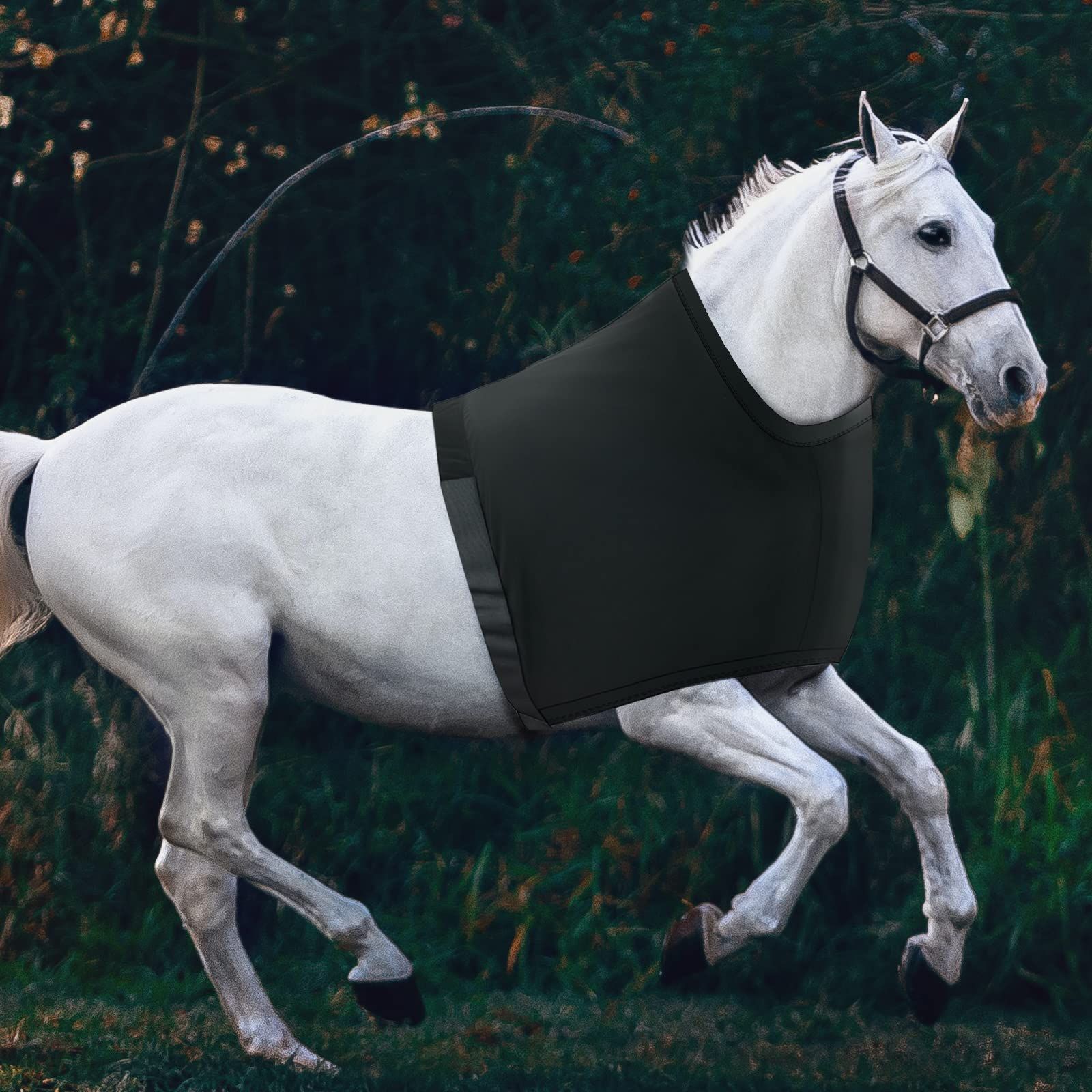 Equestrian anti-scratch vest high elastic fiber cloth belly protection horse bib vest lining warm vest cross-border new product