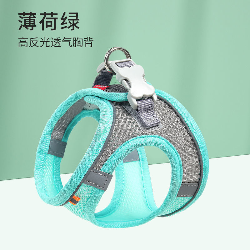 Мятный зеленый (без веревок, одна сундук назад)