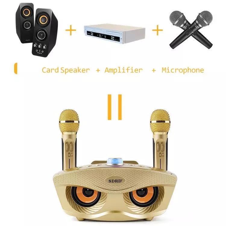 Machine de karaoké sans fil avec enceinte bluetooth et micros_voghion.com