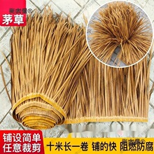 ����ȼ��������X�Ͻ����쵾��é�������b�ë�ݷ����������̫��