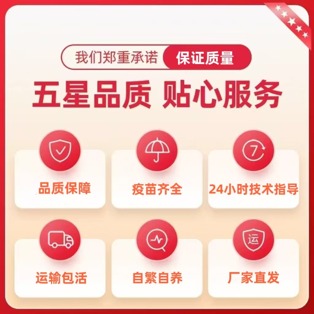 微信图片_20250312175708