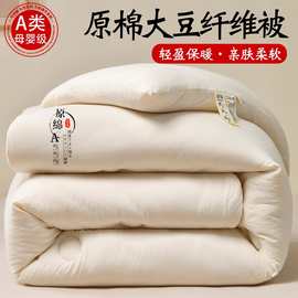 新款原棉大豆纤维被子被芯单人宿舍学生春秋被四季通用棉被秋冬被