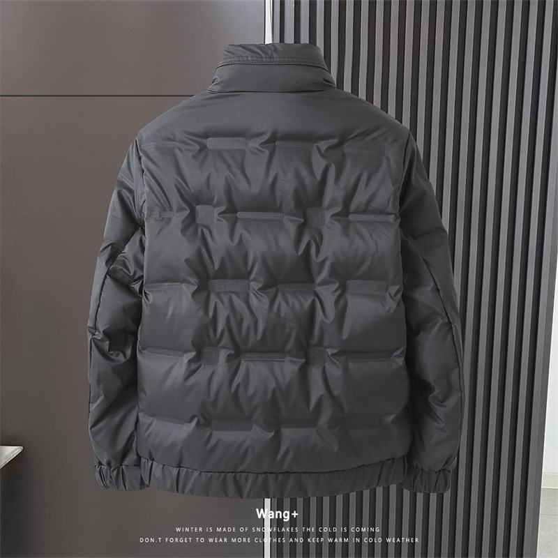 Autumn and winter new national standard standing collar down men's Korean version solid color casual warm thickened_voghion.com