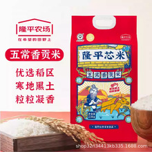 ¡ƽо���峣�㹱��2.5kg��������������հ�װ��������