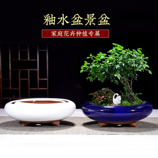 �¿��ڏ��մɻ��辰�^С�Gֲ���������͸������m�辰����