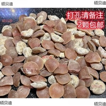 青鱼石原石大号石鱼惊石乌青鱼惊喉骨雕刻饰品送小料挂饰挂件吊坠