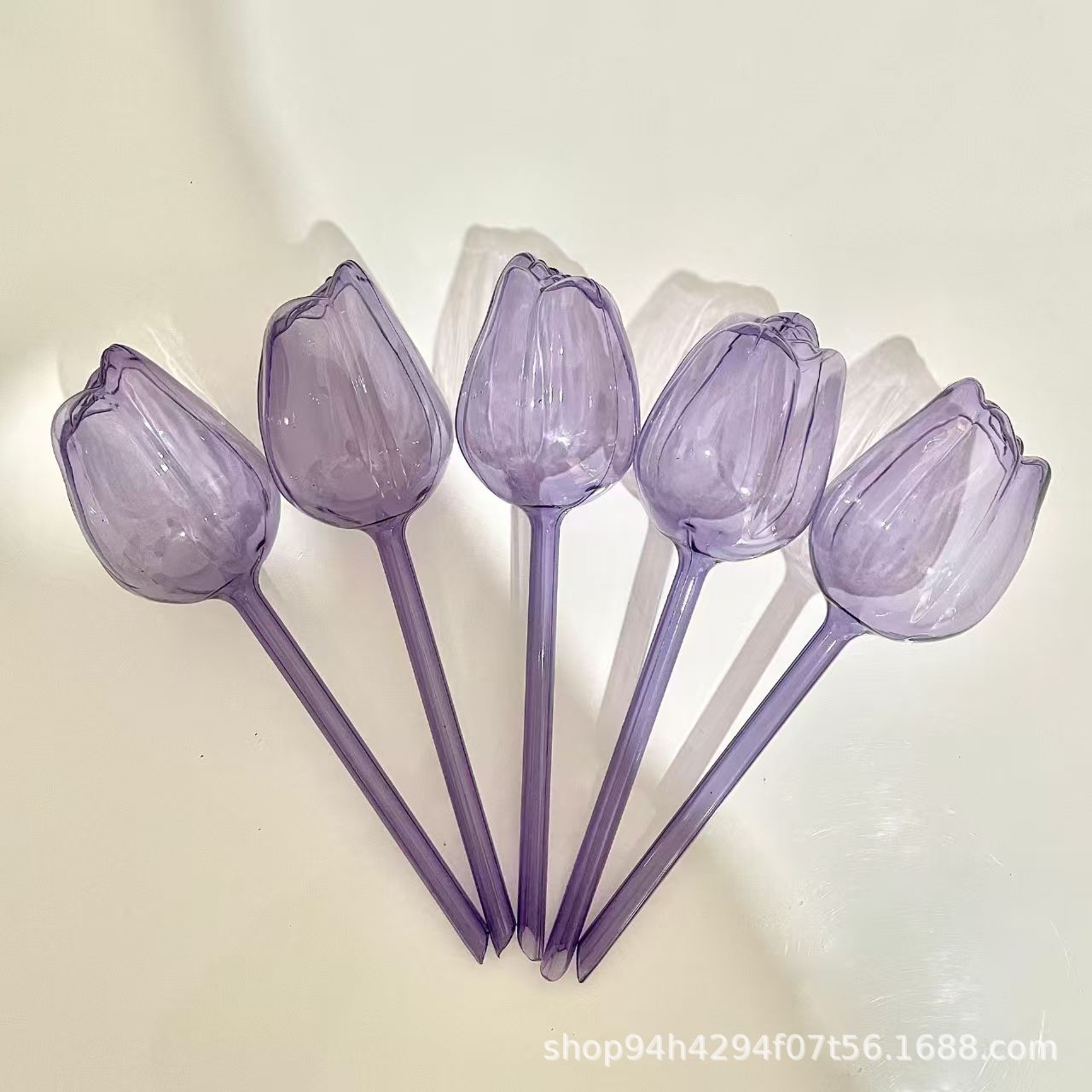 보라색 튤립