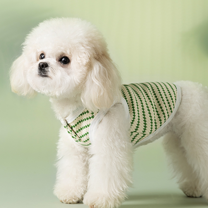 Perro primavera y verano Bo Bo punto chaleco jacquard perro pequeño y mediano Teddy verano respirable gato ropa de perro mascota