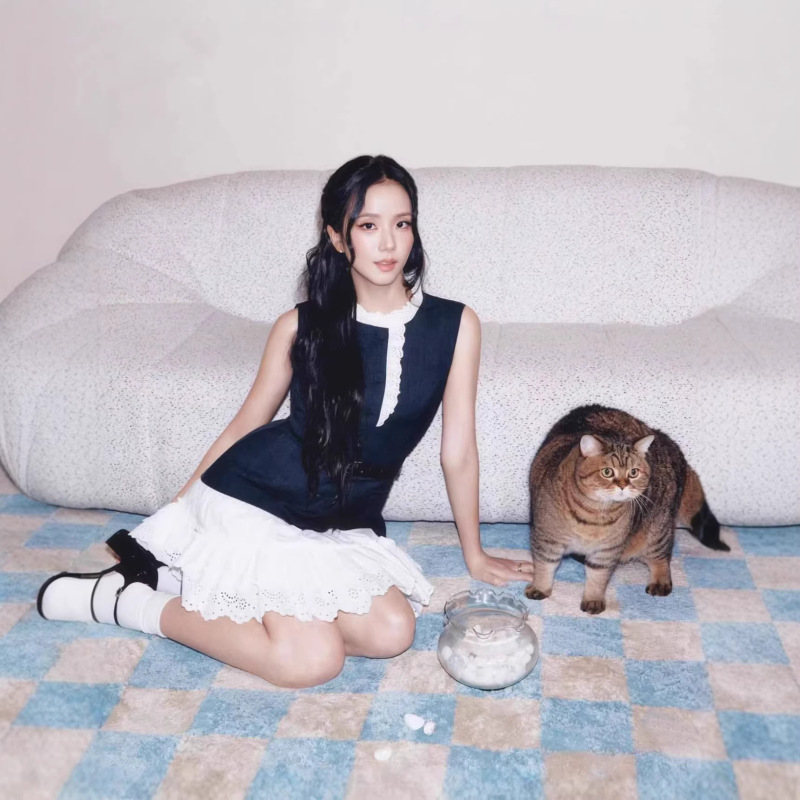 Jisoo's Same Style Sp 2026 Spring French-Style Elegant Lace Ruffle Sleeveless Waist-Cinching Dress Jisoo's Same Style Sp 2026 Spring French-Style Elegant Lace Ruffle Sleeveless Waist-Cinching Dress