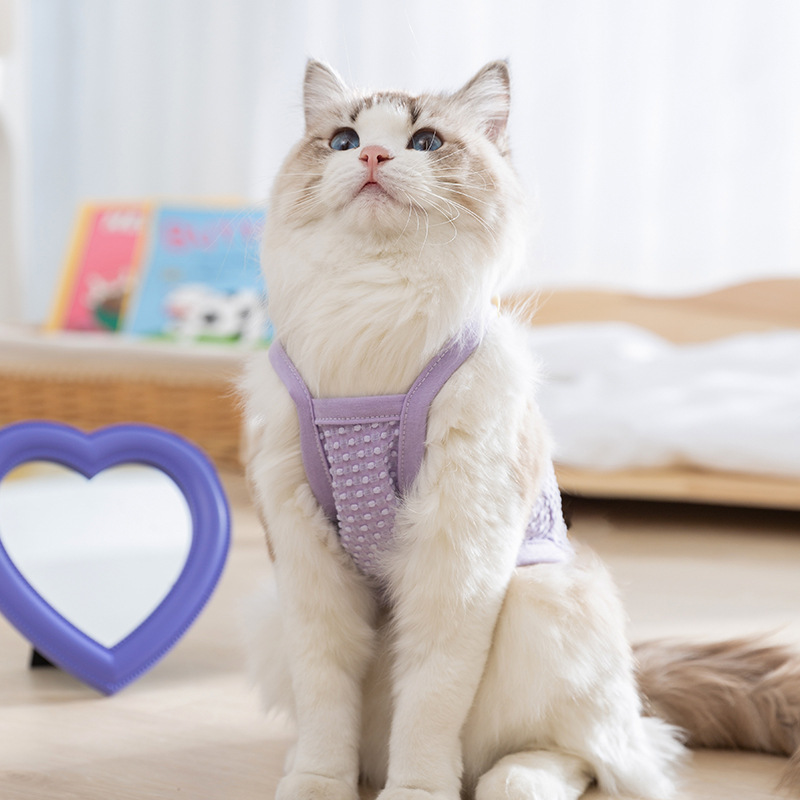 Gato primavera y verano dos pies versión coreana fresca y tridimensional de la correa de la pequeña flor Ropa de gato para perros pequeños y medianos