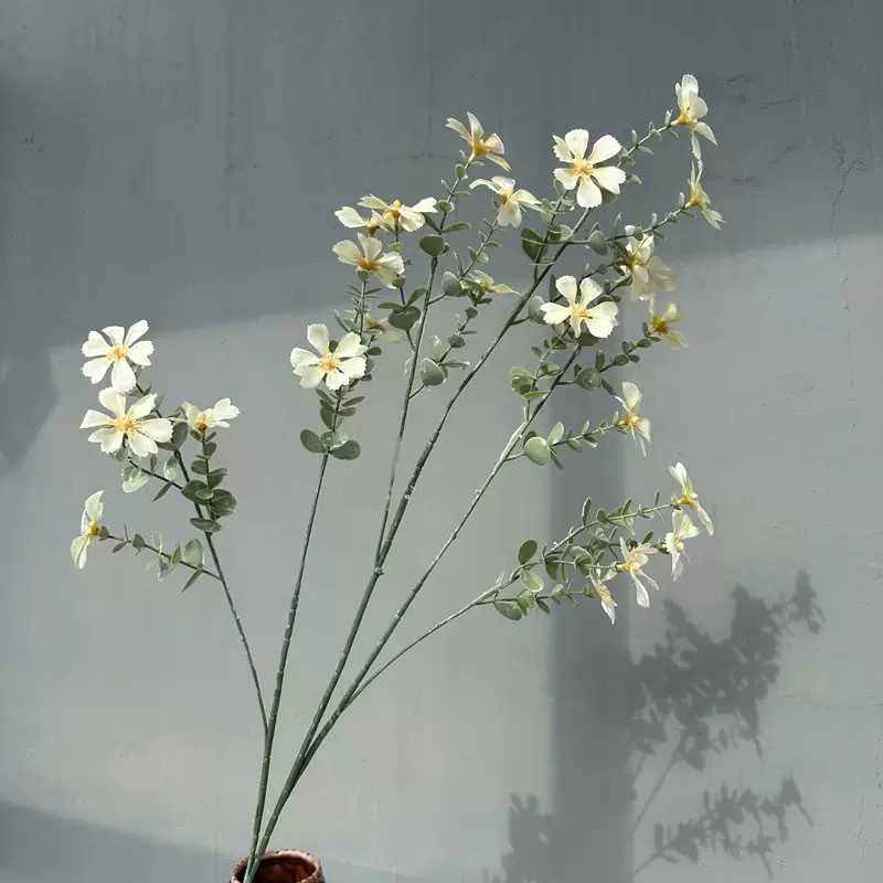 작은 들꽃 - 샴페인