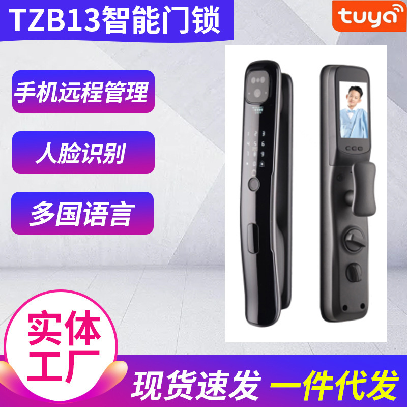 涂鸦智能锁家用人脸可视对讲密码锁手机远程管理TZB13刷卡智能锁