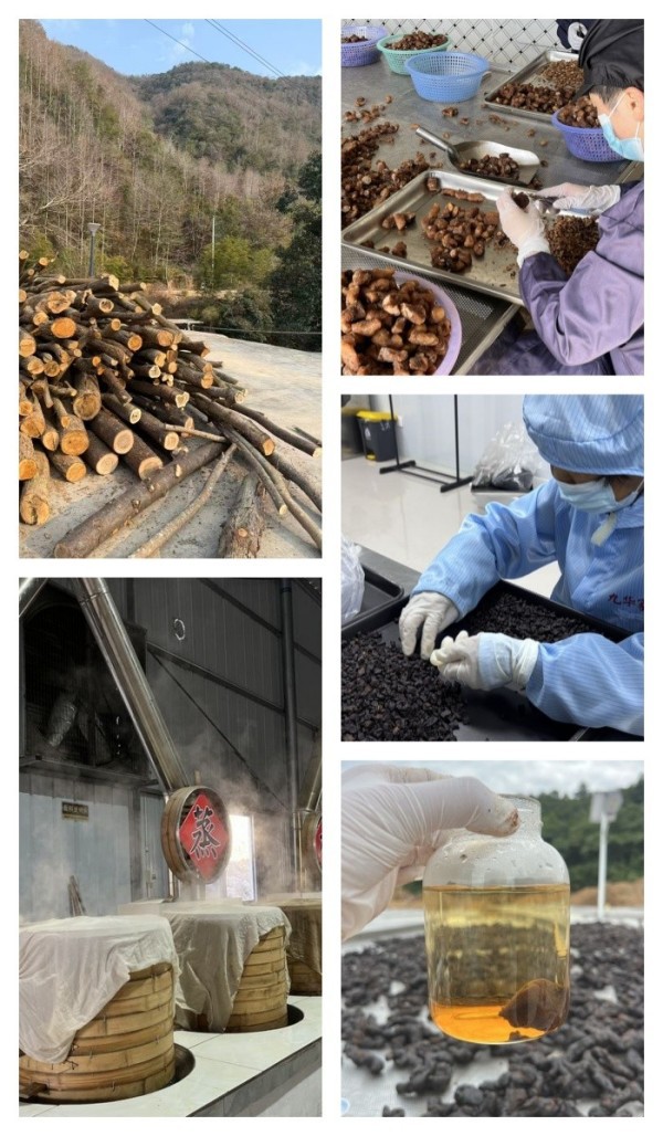 Premium Nine-Steamed Nine-Sun-Dried Huang Jing Whole Roots 500g Jiuhuashan Polygonatum specifications