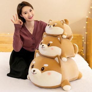 �¿�A���Ȯë�q��߿ɐ۶�������ܛ�w˯�X����Ů����ͯ���նY��