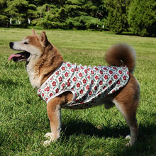 ���������ޱ��Ľ�ë�_Ħ��Ȯ߅���д���Ȯ͸�⌙���·��o�����ë