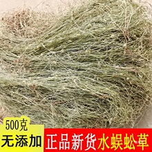 ˮ���� ����� ɢ���� һ���� ���v�� ��~�� ������؛��؛