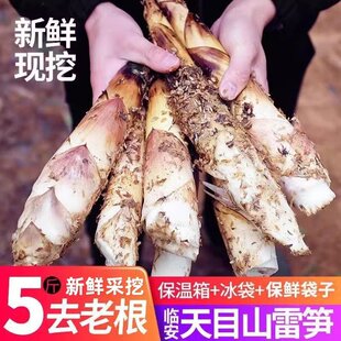 ���R�����S������2026�����r������Ŀɽ�r�Ҵ��S�׹S��Ҏ����x