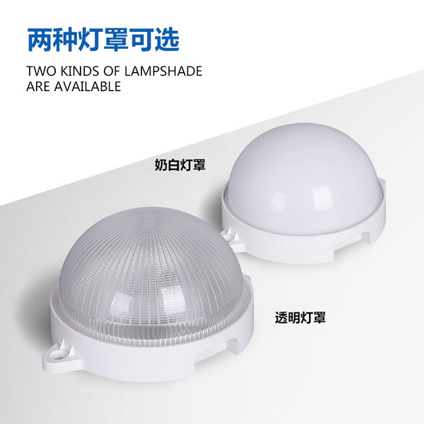 Induction bulb with light music
