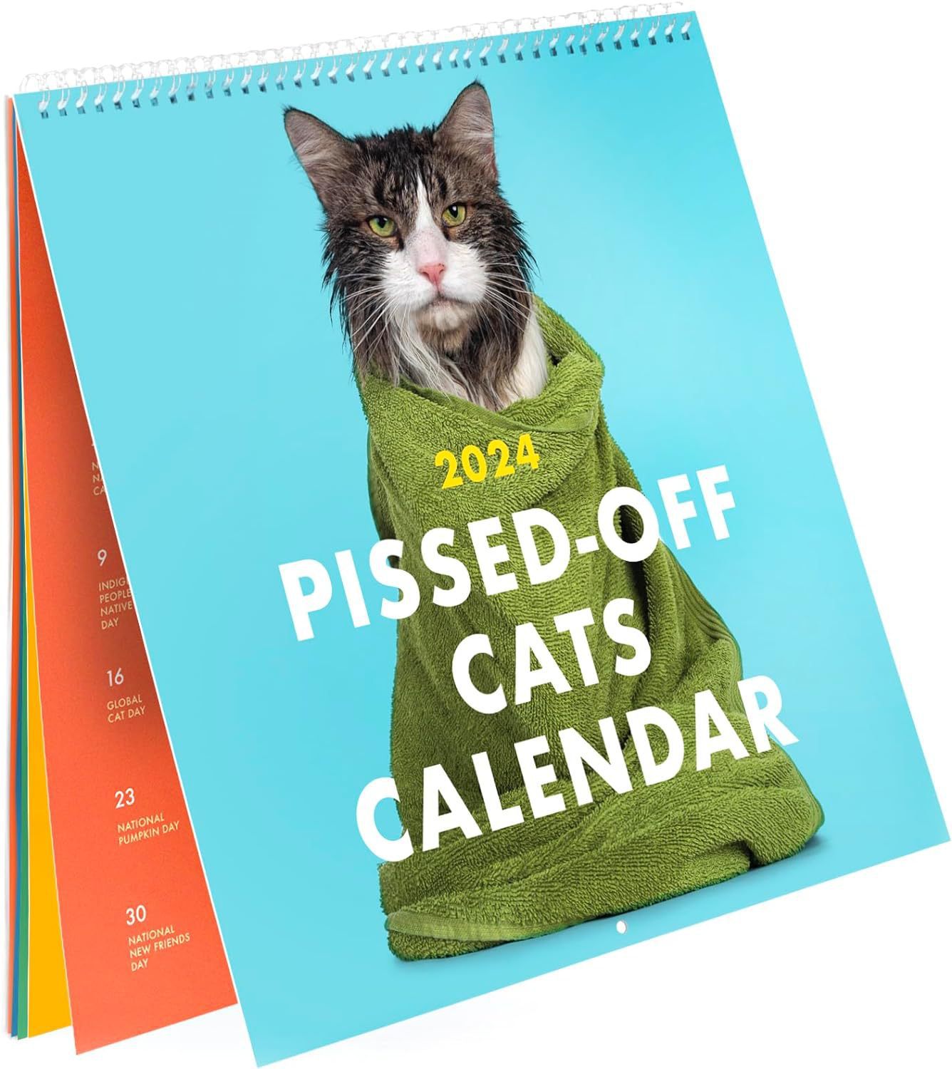 2025年生气猫日历2025 PissedOff Cats Calendar愤怒猫日历挂历阿里巴巴