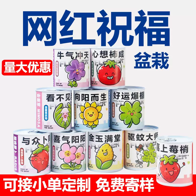 开学礼物易拉罐植物盲盒定制绿植小盆栽室内迷你小学生种子观察盒