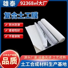 hdpe土工膜防渗膜鱼塘沼气池垃圾场用复合黑色高密度聚乙烯PE膜