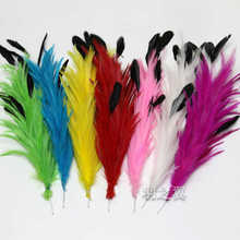 25-30cm��ɫ��ë���uβë��̖�F�z���Ʒ�����ˇ�b�Ӊ�����