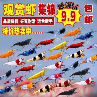 �����߲��^�p�r��ˮ�O���r�����r���ֻ��r�坍�rˮ���r�����r�ײ�