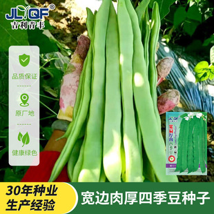 ��������ļ����N�Ӵ����＾�͟�������o��ܶ����쌒�v�߲˷N��