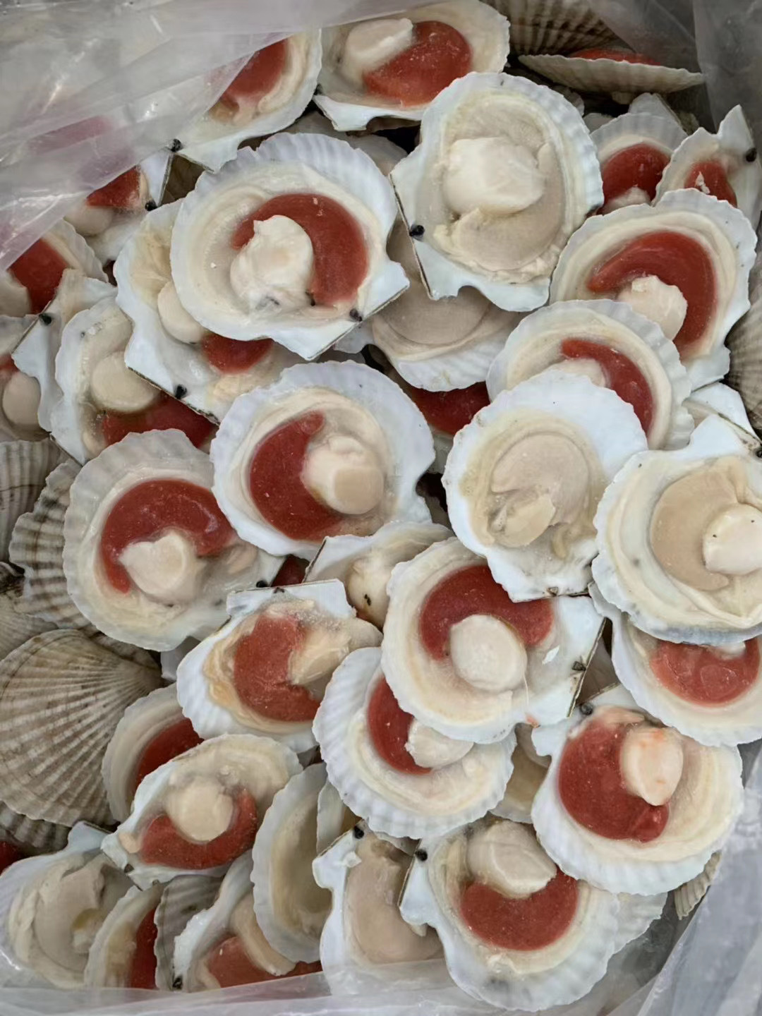 2020_06_23_13_17_IMG_7981