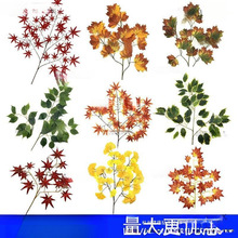 ���~�y���~�t�^�����~�Gֲ�����b��＾�~�Ӽ٘��~�z��ͩ�~��Gɫ