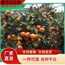 ����ɰ���٘������Ә�ɳ�ǽ��Ә���ͥԺ���Դ���������Ϸ��Nֲ