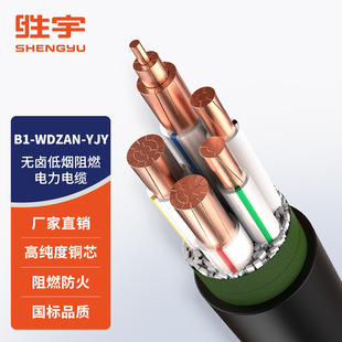 B1-WDZAN-YJY 0.6/1kV �͟��o�u��ȼ�ͻ������|