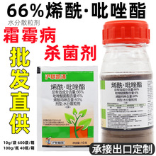 P66%ϩϩS˪ùș10g-100g