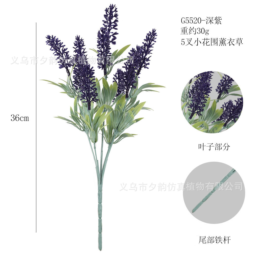 G5520-딥 퍼플 5프롱 라벤더