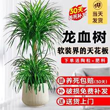 ��Ѫ��͏d���Դ�����լ���^��횘�Gֲǧ��ľ�����Ϙ����ֲ��